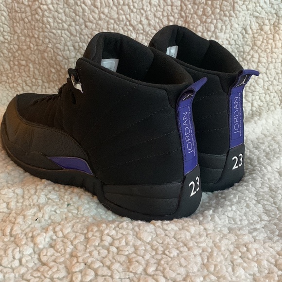 jordan dark concord 12s